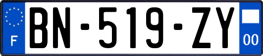 BN-519-ZY