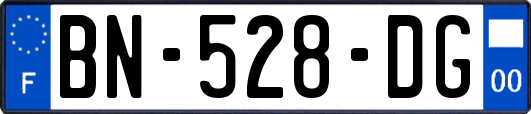 BN-528-DG