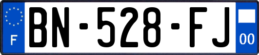 BN-528-FJ