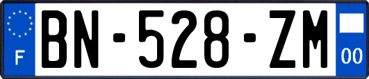 BN-528-ZM