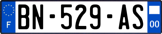 BN-529-AS