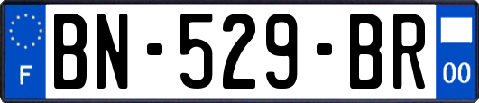 BN-529-BR