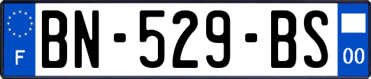BN-529-BS