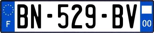 BN-529-BV