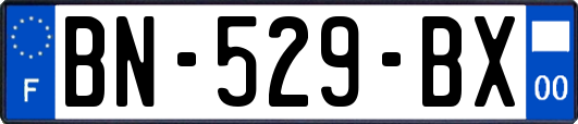 BN-529-BX