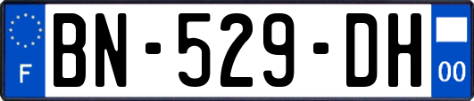 BN-529-DH