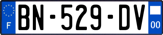 BN-529-DV