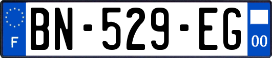 BN-529-EG