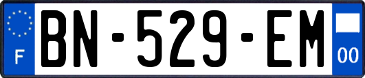 BN-529-EM