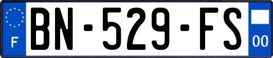 BN-529-FS