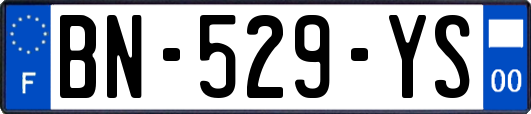 BN-529-YS