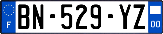 BN-529-YZ