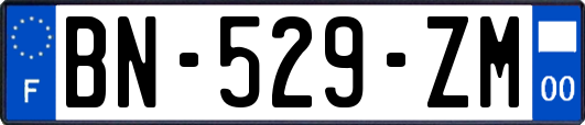 BN-529-ZM