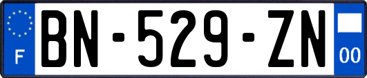 BN-529-ZN