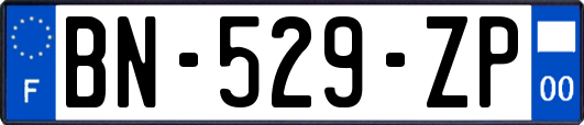 BN-529-ZP