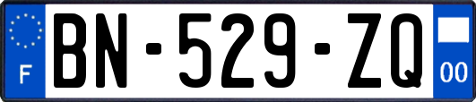 BN-529-ZQ