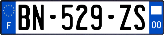 BN-529-ZS