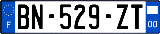 BN-529-ZT