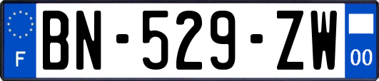 BN-529-ZW