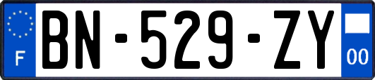 BN-529-ZY