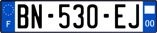 BN-530-EJ