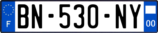 BN-530-NY