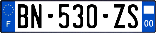 BN-530-ZS