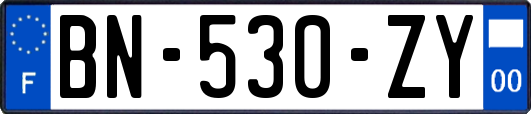 BN-530-ZY