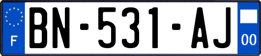 BN-531-AJ