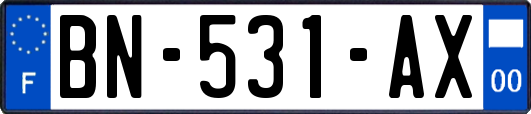 BN-531-AX