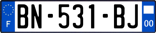 BN-531-BJ