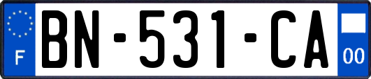 BN-531-CA