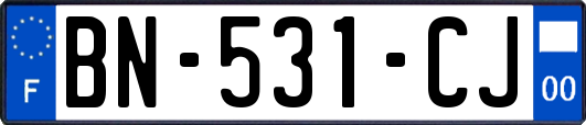 BN-531-CJ