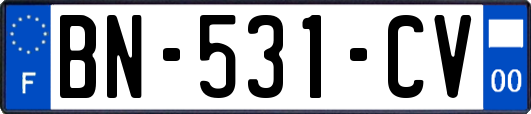 BN-531-CV