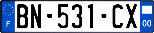 BN-531-CX