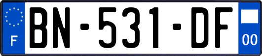BN-531-DF