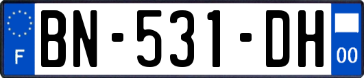 BN-531-DH