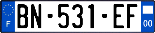 BN-531-EF