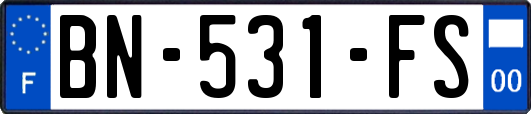 BN-531-FS