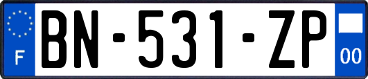 BN-531-ZP