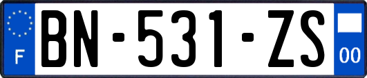 BN-531-ZS