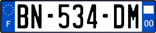 BN-534-DM