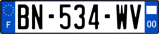 BN-534-WV