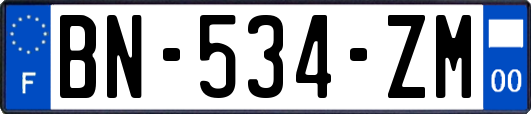 BN-534-ZM