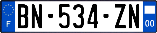 BN-534-ZN