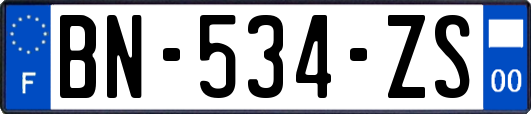 BN-534-ZS