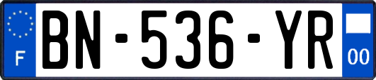 BN-536-YR