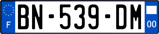 BN-539-DM
