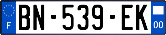 BN-539-EK