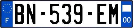 BN-539-EM